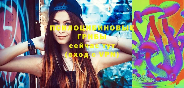 хмурый Верея
