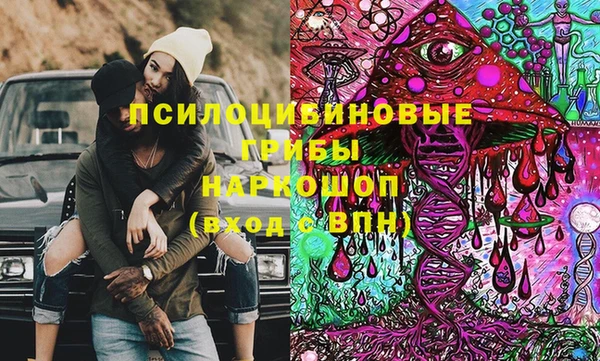 хмурый Верея