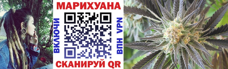 Бошки марихуана SATIVA & INDICA  купить  цена  Кашин 